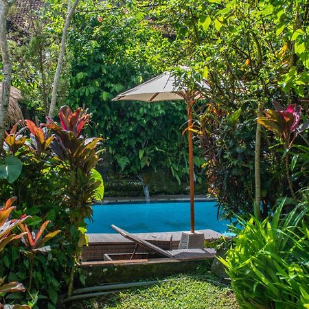 Down The Rabbit Hole Apartment Ubud  Ngoại thất bức ảnh