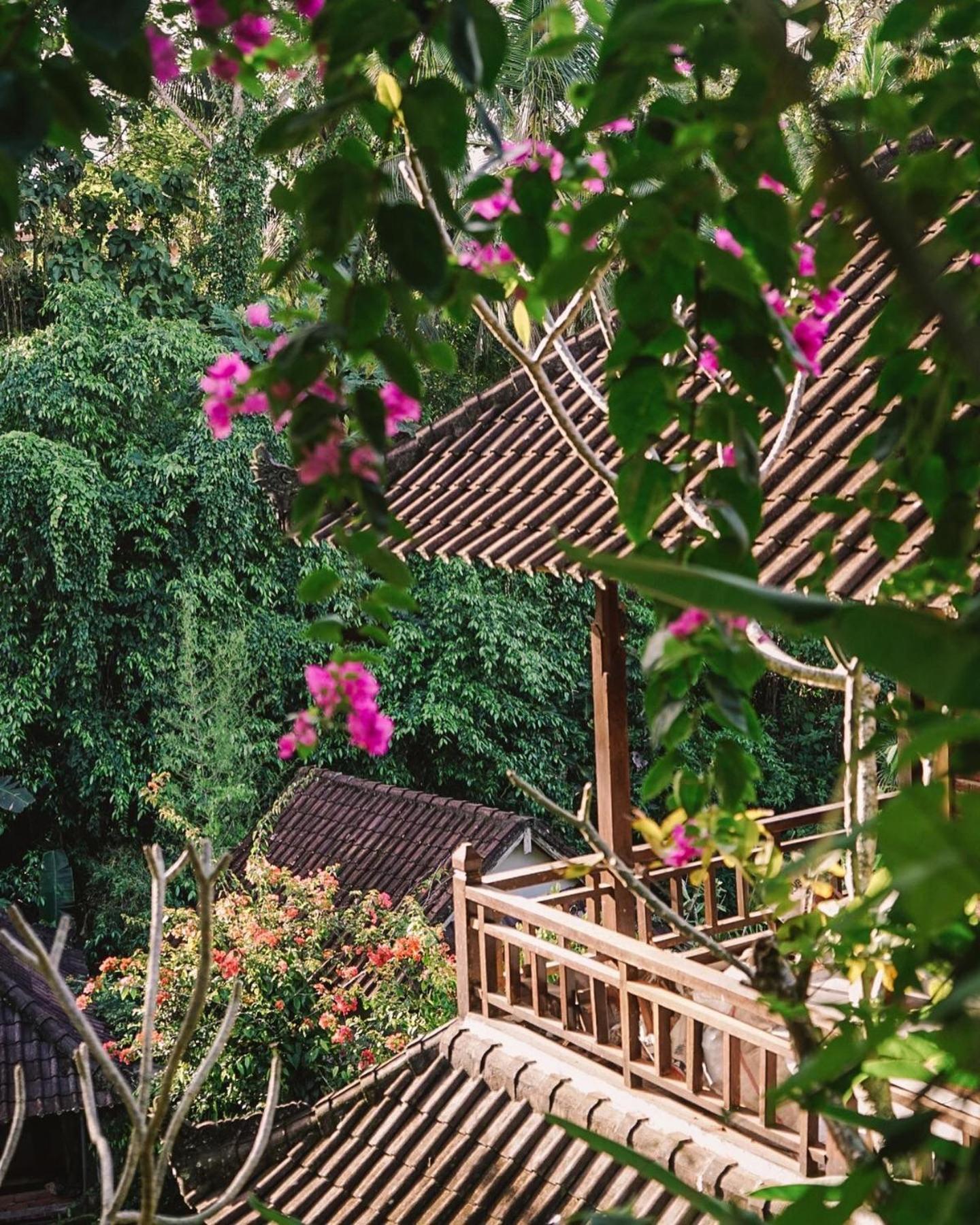 Down The Rabbit Hole Apartment Ubud  Ngoại thất bức ảnh